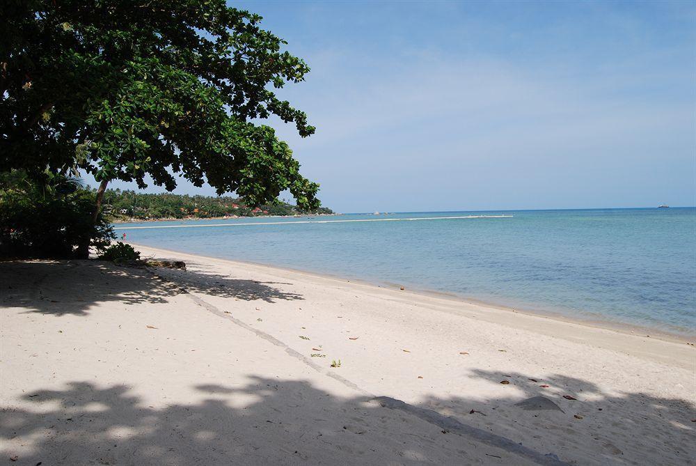 Rose Garden Samui Bungalows Lamai Beach  Exteriör bild